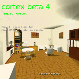 Local map thumbnail for cortex